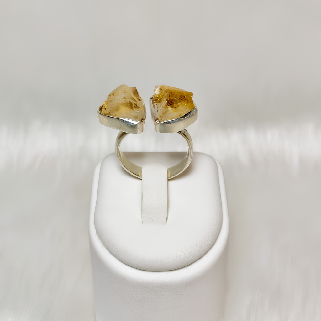 https://www.jewelnidhi.com/img/178151920170.png